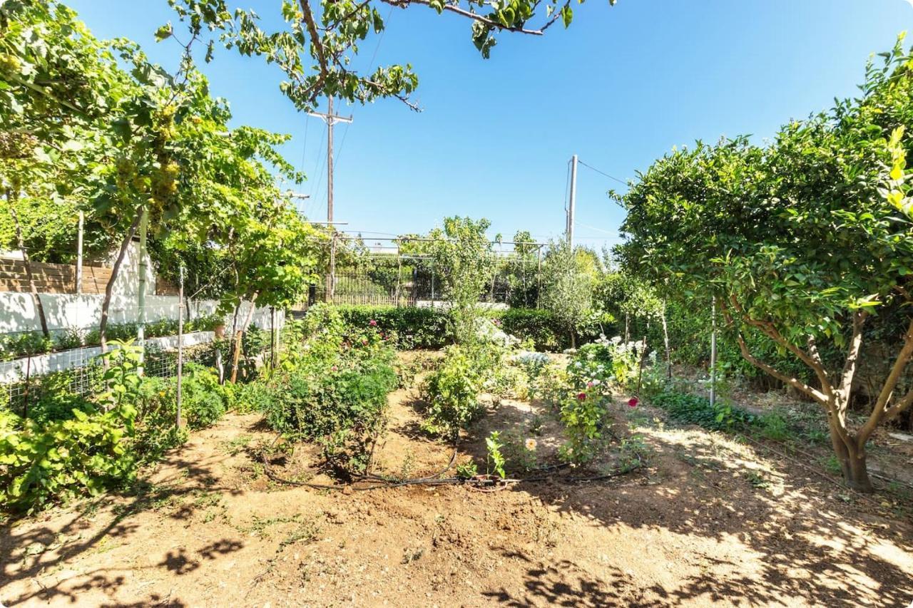 οικια Elisabeth Apartment Artemida (Attica)